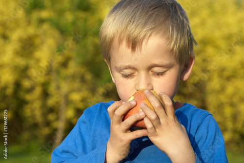 Child little blond boy eating red apple outdoor in the garden. Kids, lifestyle concept. Child eating healthy food