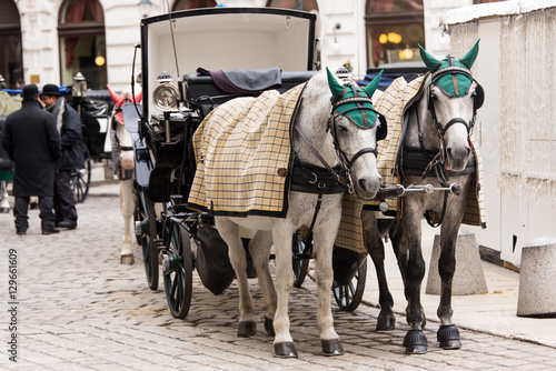 horse cab, coach, Vienna, Austria, Europe © helentopper