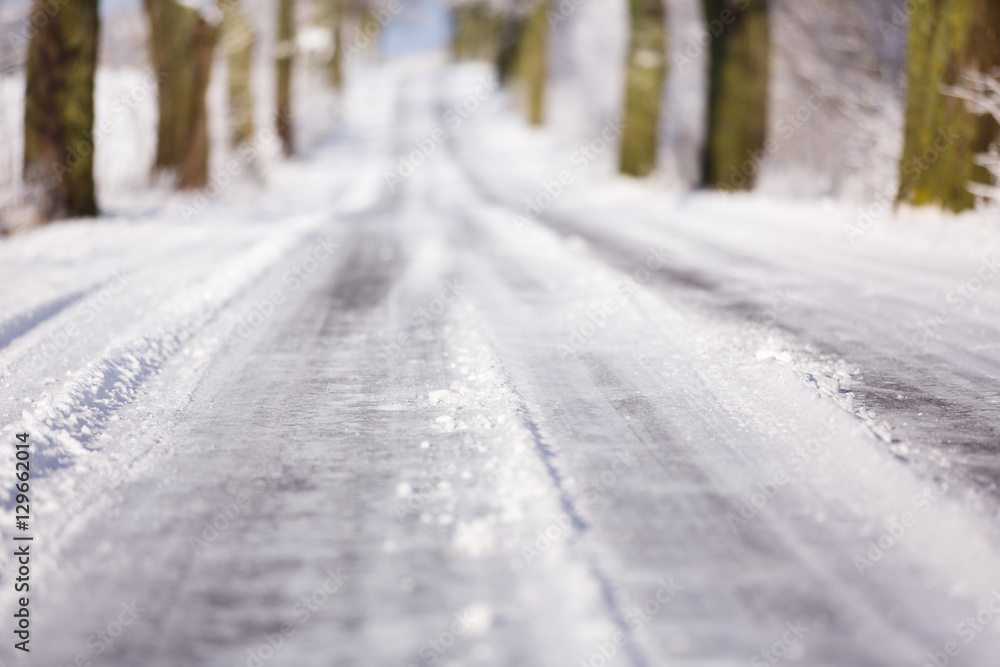 Obraz premium The winter road