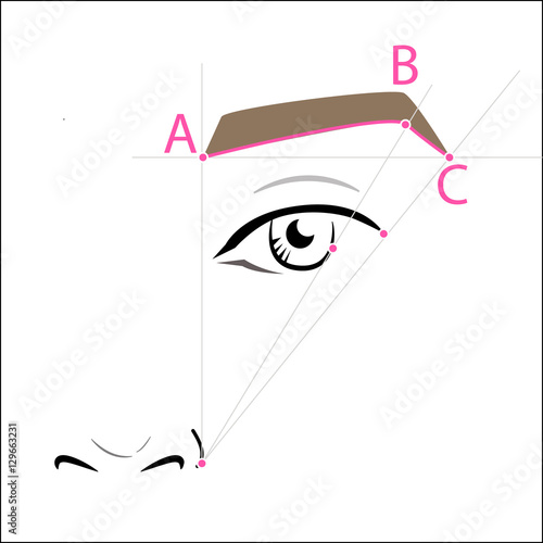 How to paint the eyebrows. Vector trendy makeup brows scheme.
