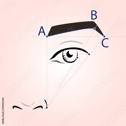 How to paint the eyebrows. Vector trendy makeup brows scheme.