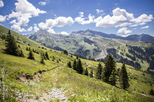 Bucolic green summer alpine landscape, Swiss Alps mountain massif, canton du Valais, Switzerland © Melanie