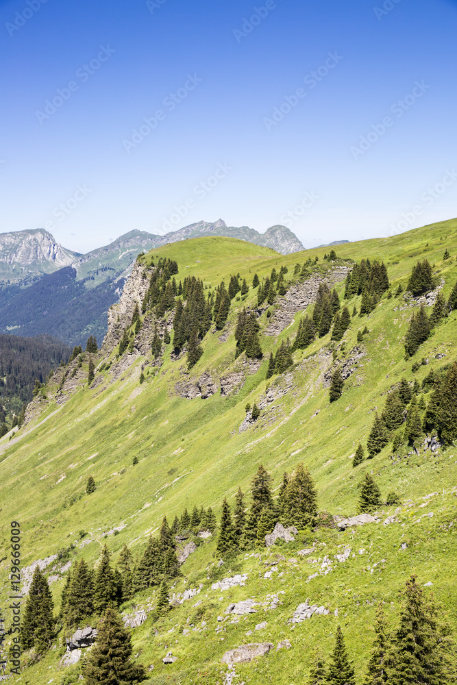 Bucolic green summer alpine landscape, Swiss Alps mountain massif, canton du Valais, Switzerland
