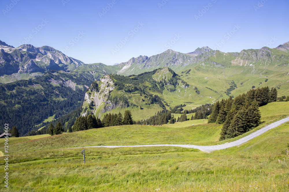 Green alpine landscape in summer, view over Swiss Alps mountain massif, Canton du Valais, Switzerland