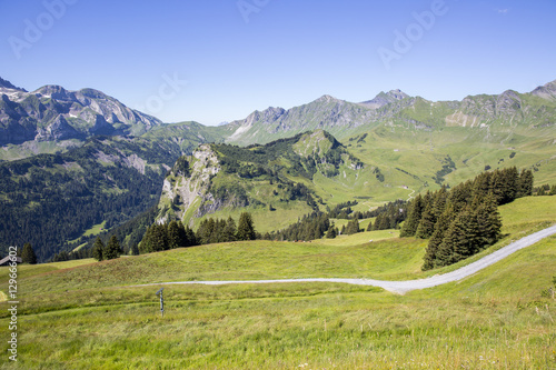 Green alpine landscape in summer, view over Swiss Alps mountain massif, Canton du Valais, Switzerland © Melanie