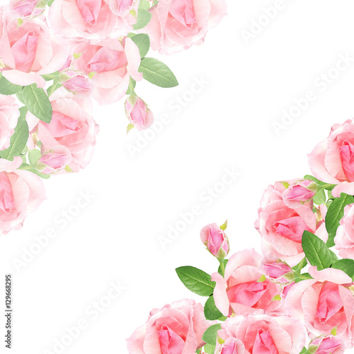 Beautiful floral pattern of pink roses 