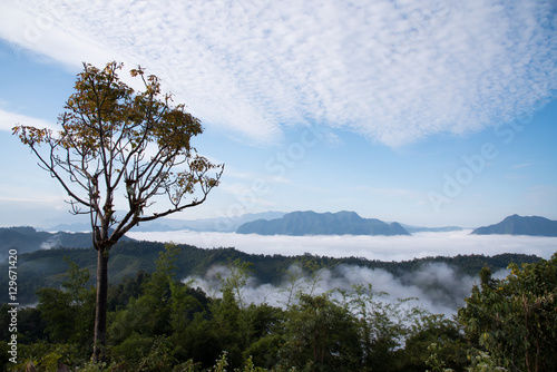 Beautiful sea of mist.