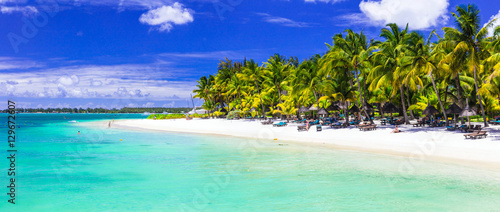 Fototapeta Naklejka Na Ścianę i Meble -  Perfect tropical white sandy beach with turquoise sea. Mauritius