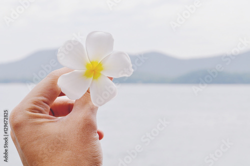 Hand Holding White Frangipani Flower On Mountain View