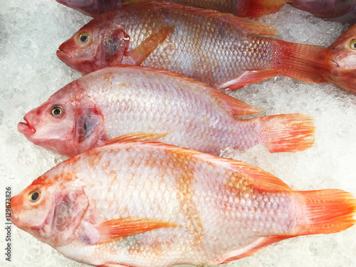 Tilapia on Ice For Sale at the Market