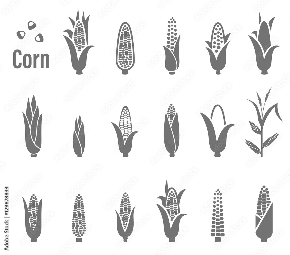 Corn icons. Vector illustration. - obrazy, fototapety, plakaty 