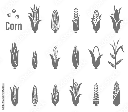 Fényképezés Corn icons. Vector illustration.
