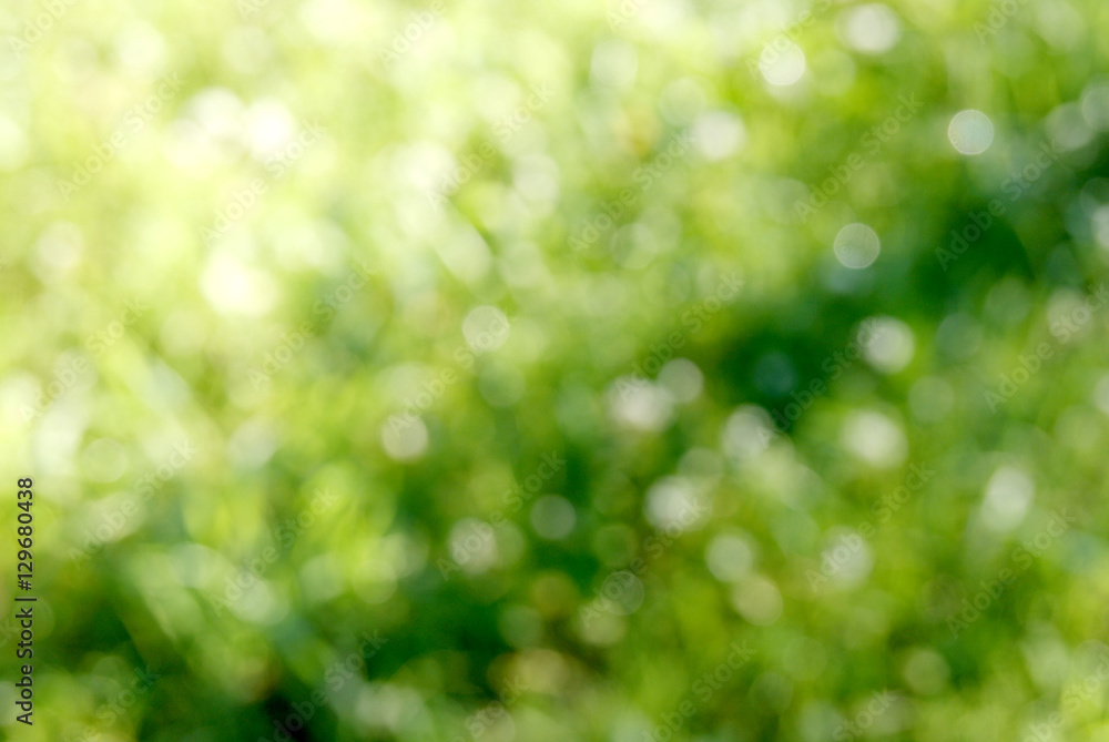 Obraz premium spring background