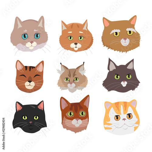 Set of Cat s Faces Vector Flat Design Illustration