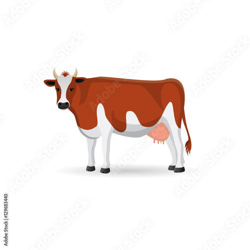 Cow isolated on a white background. Vector flat ilustration