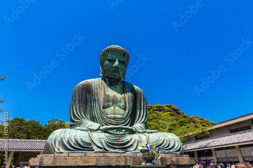 The Great Buddha in Kamakura Japan. Located in Kamakura, Kanagawa Prefecture Japan.