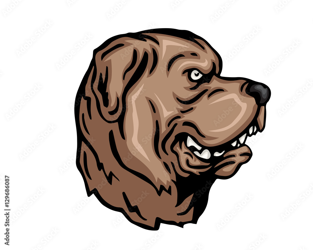 Saint hot sale bernard angry