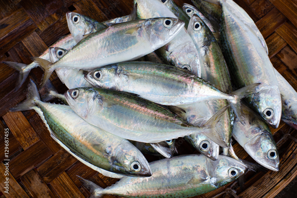Fototapeta premium Fresh raw fish in market. Seafood background.