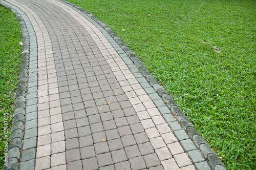 Concrete paving blocks, walkway in the garden