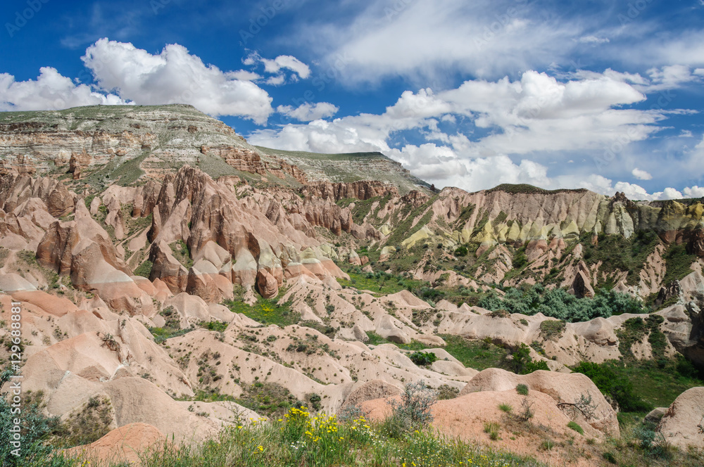 Fototapeta premium Panoramic rural view of Cappadocia - Turkey