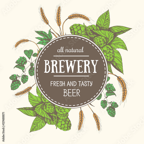 Design template for beer pub. Menu label with barley and hop. Circle concept. Hand-drawn vector illustration