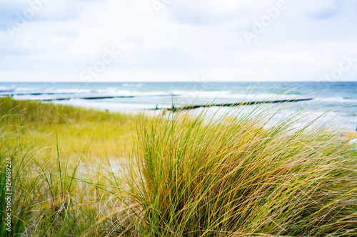 Fototapeta Naklejka Na Ścianę i Meble -  Beach with grass