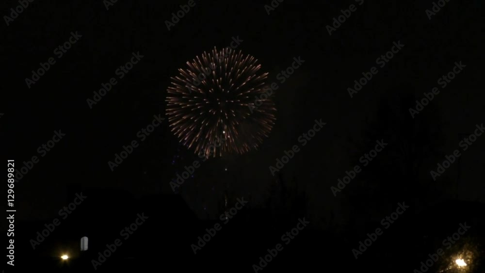 The holiday fireworks, devoted to Day of the Victory on May, 9th, 2016, Russia
The holiday fireworks, devoted to Day of the Victory on May, 9th, 2016, Russia