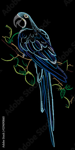 Blue parrot