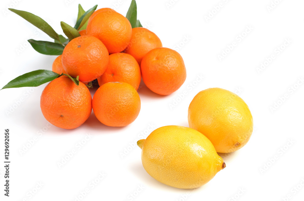 Two lemons and oranges on white background Two lemons and oranges on white background