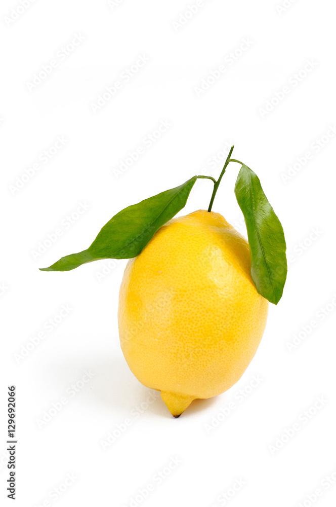 lemon on white backdrop