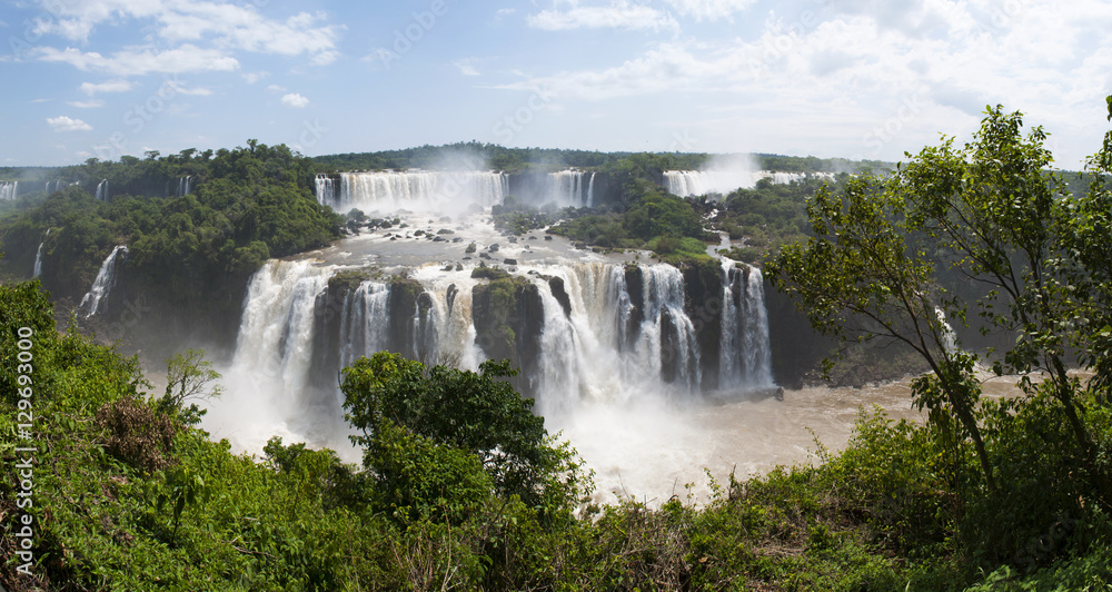Iguazu, 13/11/2010: la vegetazione con vista panoramica delle Cascate di Iguazu, generate dal fiume Iguazu al confine tra la provincia argentina di Misiones e lo Stato brasiliano del Paraná Iguazu, 13/11/2010: la vegetazione con vista panoramica delle Cascate di Iguazu, generate dal fiume Iguazu al confine tra la provincia argentina di Misiones e lo Stato brasiliano del Paraná