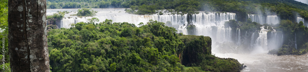 Iguazu, 13/11/2010: la vegetazione con vista panoramica delle Cascate di Iguazu, generate dal fiume Iguazu al confine tra la provincia argentina di Misiones e lo Stato brasiliano del Paraná