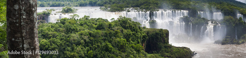 Iguazu  13 11 2010  la vegetazione con vista panoramica delle Cascate di Iguazu  generate dal fiume Iguazu al confine tra la provincia argentina di Misiones e lo Stato brasiliano del Paran  