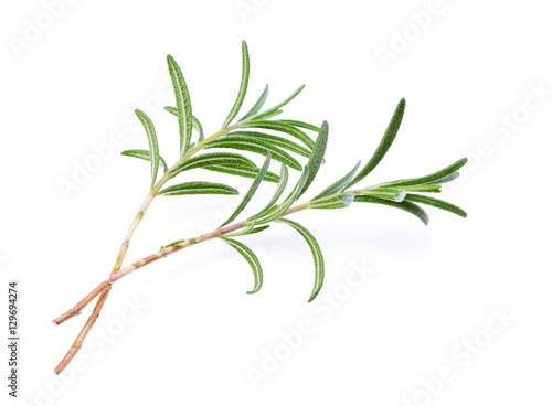 rosemary isolated on white background © Superheang168