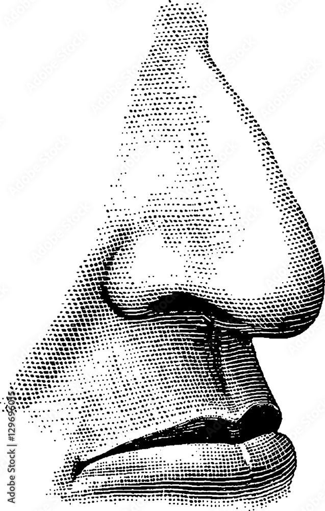 Fototapeta premium Vintage image nose, lips