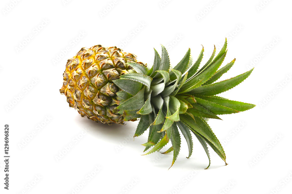 Isolated of pineapple fruit on white background Isolated of pineapple fruit on white background
