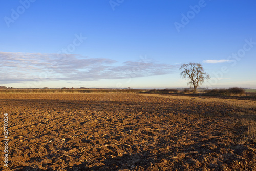 plowed soil in autumn