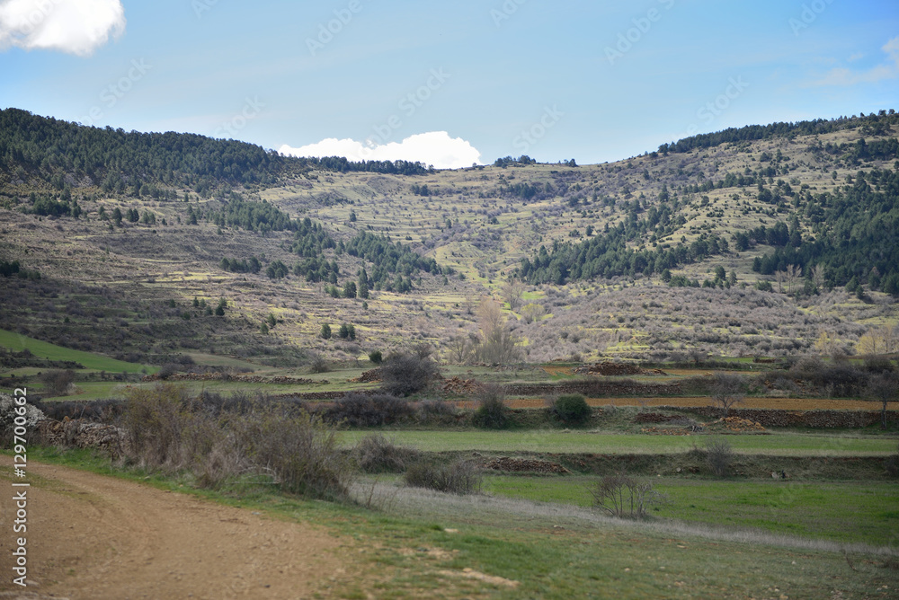 PAISAJE EN LA LOCALIDAD DE CAÑADA BENATANDUZ DE LA PROVINCIA DE TERUEL ESPAÑA PAISAJE EN LA LOCALIDAD DE CAÑADA BENATANDUZ DE LA PROVINCIA DE TERUEL ESPAÑA
