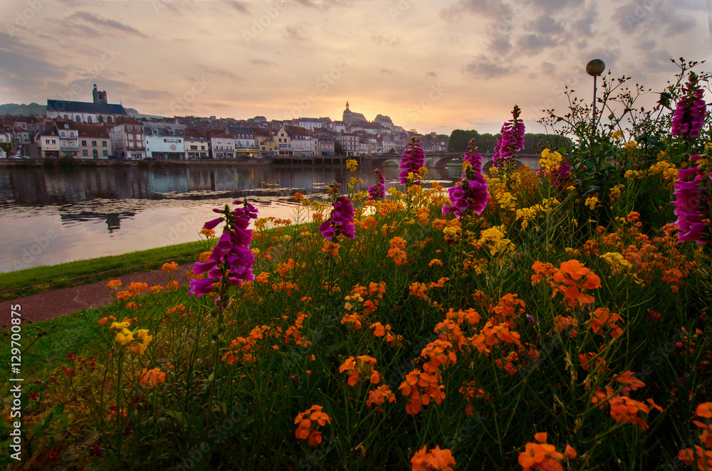 The flowers are on the shore of the river in the morning. France.