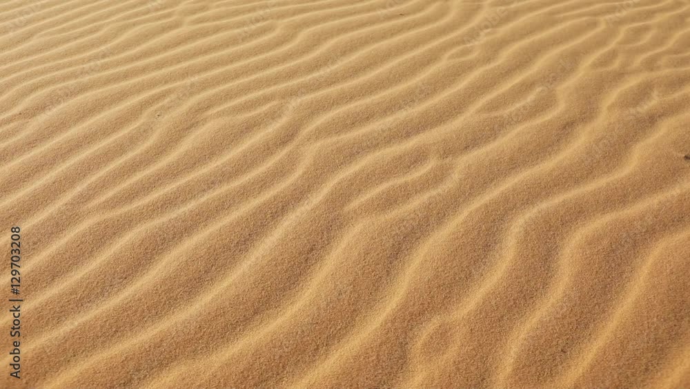 Blowing wind makes rippled patterns in sand
Blowing wind makes rippled patterns in sand