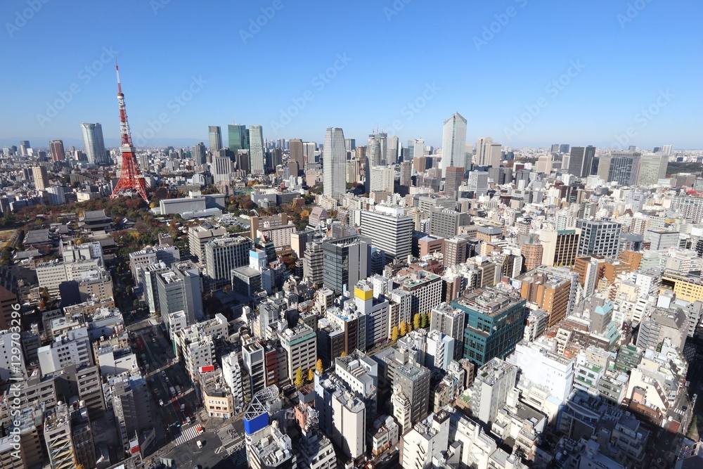 Fototapeta premium Tokyo skyline
