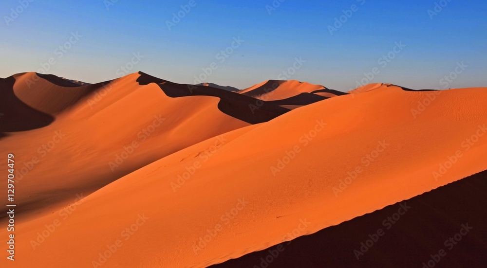 Naklejka premium Beautiful sand dune in africa