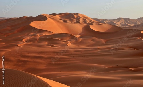 Beautiful sand dune in africa