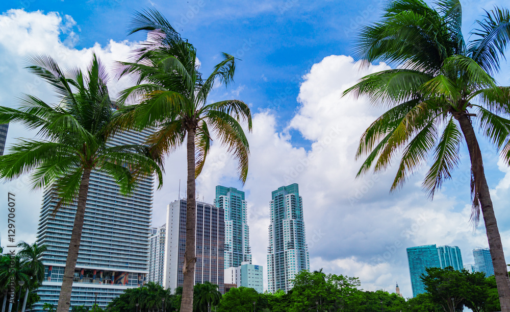 Fototapeta premium Office Building Miami, US