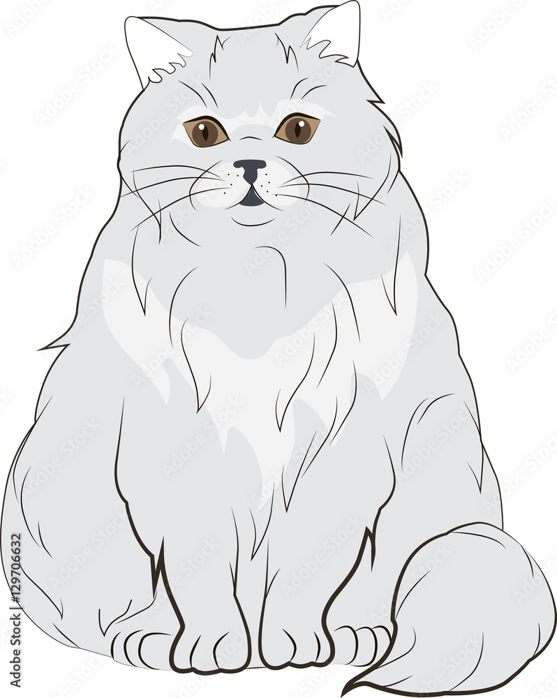 grey cat fat grey cat fat