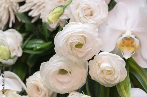 Many white roses as a floral background  