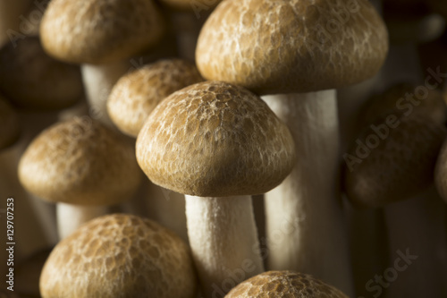 Raw Organic Brown Beech Mushrooms photo