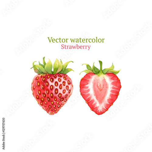 Watercolor vector strawberry