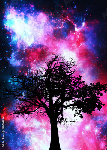 Night sky abstract space background with lonely  tree silhouette 
