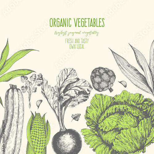 Organic food card design. Farmers market menu design. Organic food poster. Vintage hand drawn sketch vector illustration. Linear graphic.